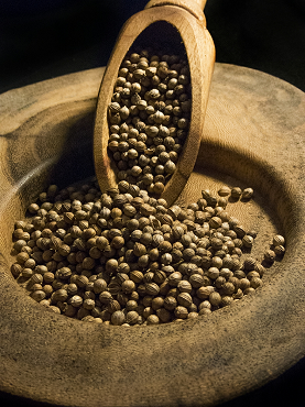 006bis_coriand_grain